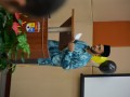 Tn DSC 3265